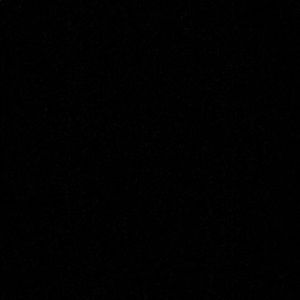 Meet your Posher, Cody